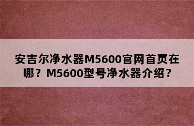 安吉尔净水器M5600官网首页在哪？M5600型号净水器介绍？