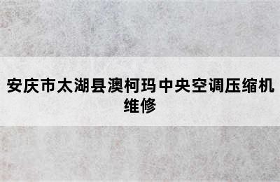 安庆市太湖县澳柯玛中央空调压缩机维修