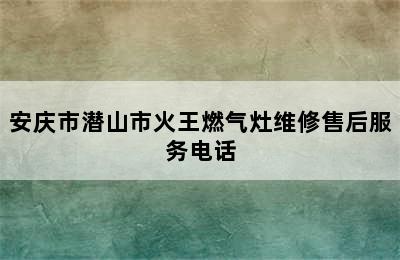 安庆市潜山市火王燃气灶维修售后服务电话