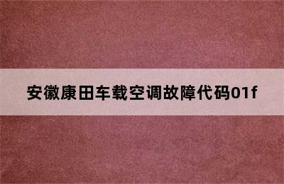 安徽康田车载空调故障代码01f