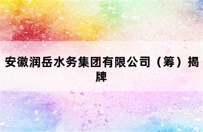 安徽润岳水务集团有限公司（筹）揭牌