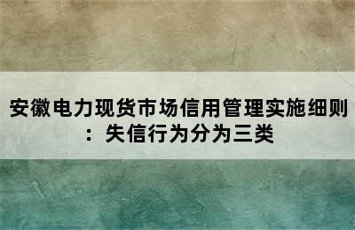 安徽电力现货市场信用管理实施细则：失信行为分为三类