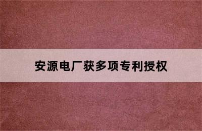 安源电厂获多项专利授权