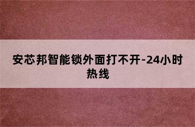 安芯邦智能锁外面打不开-24小时热线