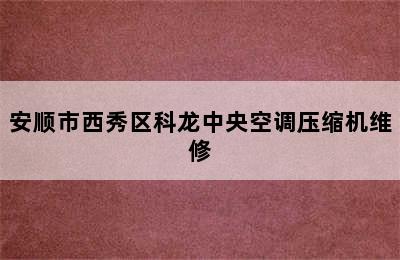 安顺市西秀区科龙中央空调压缩机维修