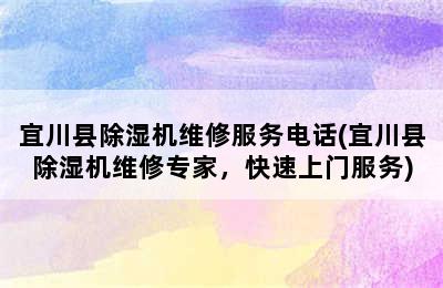 宜川县除湿机维修服务电话(宜川县除湿机维修专家，快速上门服务)