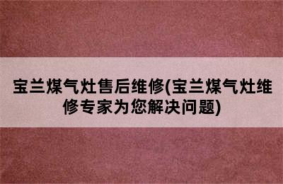 宝兰煤气灶售后维修(宝兰煤气灶维修专家为您解决问题)