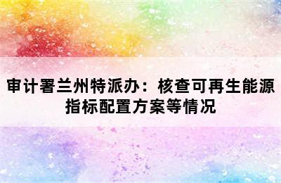 审计署兰州特派办：核查可再生能源指标配置方案等情况