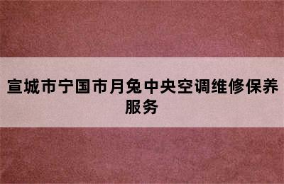 宣城市宁国市月兔中央空调维修保养服务