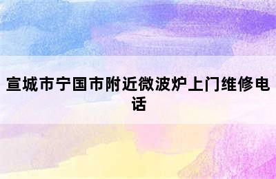 宣城市宁国市附近微波炉上门维修电话