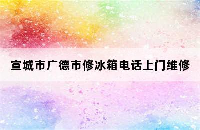 宣城市广德市修冰箱电话上门维修