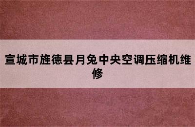 宣城市旌德县月兔中央空调压缩机维修