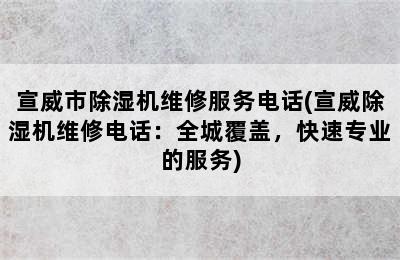 宣威市除湿机维修服务电话(宣威除湿机维修电话：全城覆盖，快速专业的服务)