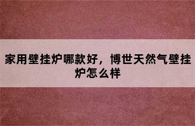 家用壁挂炉哪款好，博世天然气壁挂炉怎么样