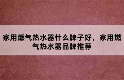 家用燃气热水器什么牌子好，家用燃气热水器品牌推荐