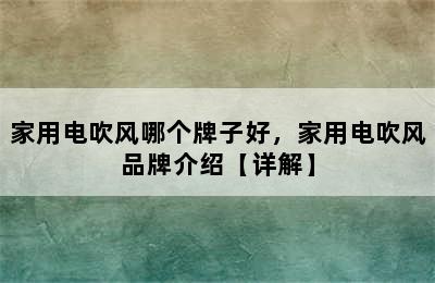 家用电吹风哪个牌子好，家用电吹风品牌介绍【详解】