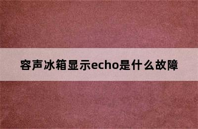 容声冰箱显示echo是什么故障