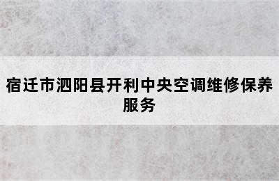 宿迁市泗阳县开利中央空调维修保养服务