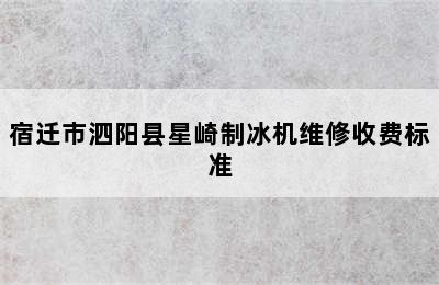 宿迁市泗阳县星崎制冰机维修收费标准