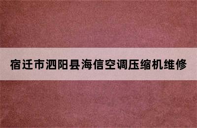 宿迁市泗阳县海信空调压缩机维修