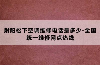 射阳松下空调维修电话是多少-全国统一维修网点热线