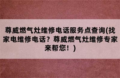 尊威燃气灶维修电话服务点查询(找家电维修电话？尊威燃气灶维修专家来帮您！)