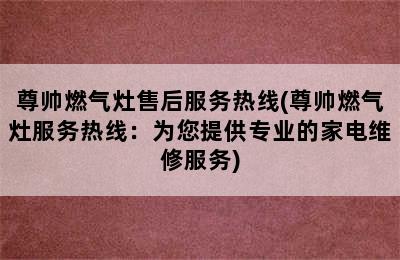 尊帅燃气灶售后服务热线(尊帅燃气灶服务热线：为您提供专业的家电维修服务)