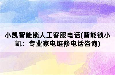 小凯智能锁人工客服电话(智能锁小凯：专业家电维修电话咨询)