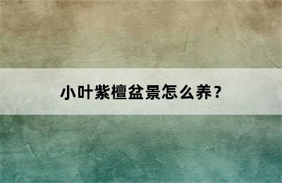 小叶紫檀盆景怎么养？