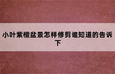 小叶紫檀盆景怎样修剪谁知道的告诉下