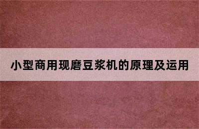 小型商用现磨豆浆机的原理及运用