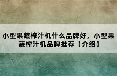 小型果蔬榨汁机什么品牌好，小型果蔬榨汁机品牌推荐【介绍】