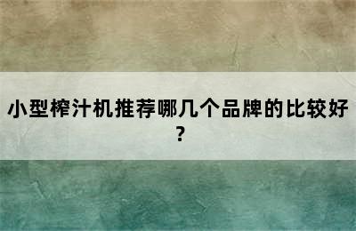 小型榨汁机推荐哪几个品牌的比较好？