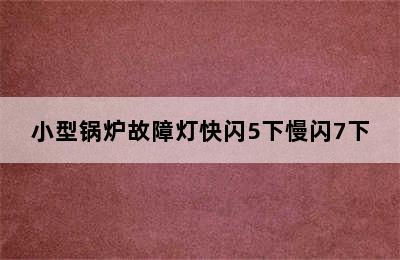 小型锅炉故障灯快闪5下慢闪7下