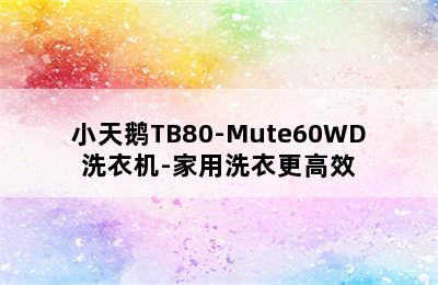 小天鹅TB80-Mute60WD洗衣机-家用洗衣更高效