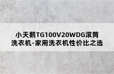 小天鹅TG100V20WDG滚筒洗衣机-家用洗衣机性价比之选