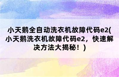 小天鹅全自动洗衣机故障代码e2(小天鹅洗衣机故障代码e2，快速解决方法大揭秘！)