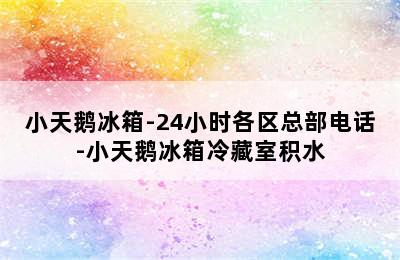 小天鹅冰箱-24小时各区总部电话-小天鹅冰箱冷藏室积水