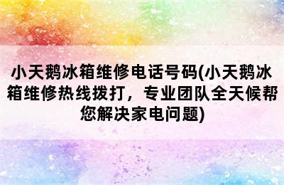 小天鹅冰箱维修电话号码(小天鹅冰箱维修热线拨打，专业团队全天候帮您解决家电问题)