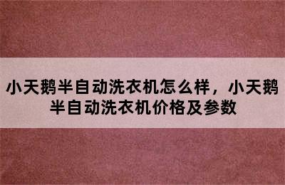 小天鹅半自动洗衣机怎么样，小天鹅半自动洗衣机价格及参数