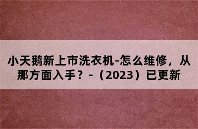 小天鹅新上市洗衣机-怎么维修，从那方面入手？-（2023）已更新