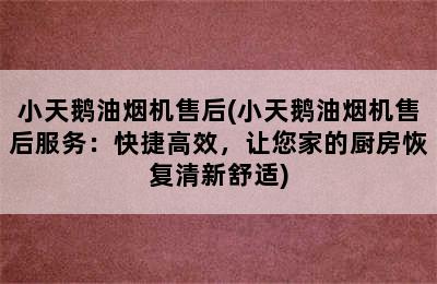 小天鹅油烟机售后(小天鹅油烟机售后服务：快捷高效，让您家的厨房恢复清新舒适)