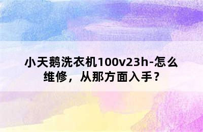 小天鹅洗衣机100v23h-怎么维修，从那方面入手？