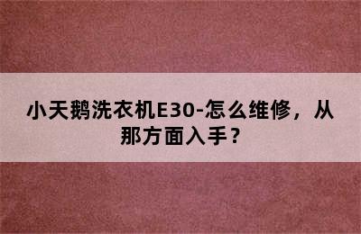 小天鹅洗衣机E30-怎么维修，从那方面入手？