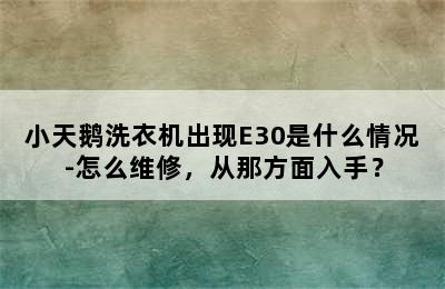 小天鹅洗衣机出现E30是什么情况-怎么维修，从那方面入手？