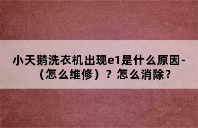 小天鹅洗衣机出现e1是什么原因-（怎么维修）？怎么消除？