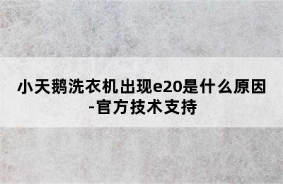 小天鹅洗衣机出现e20是什么原因-官方技术支持