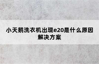 小天鹅洗衣机出现e20是什么原因解决方案