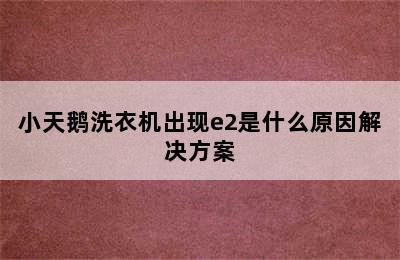 小天鹅洗衣机出现e2是什么原因解决方案