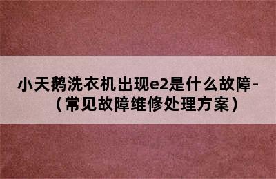 小天鹅洗衣机出现e2是什么故障-（常见故障维修处理方案）